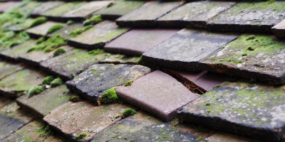 Cwmhiraeth roof repair costs
